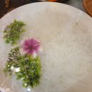 신기촌활어회 이미지