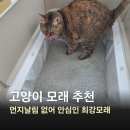 최강 | 고양이 모래 먼지 걱정 줄인 최강모래 벤토나이트 후기