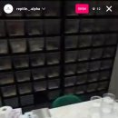 파충류샵알파