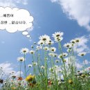 천사꽃집 이미지