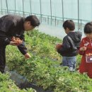 모꼬지 이미지