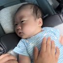 킨더벨트미술학원 | 어파베이비 크루즈 V3 후기｜신생아부터 사용한 절충형 유모차 추천｜둘째 맘이 선택한 유모차