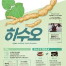 검은머리