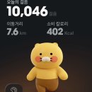 달아달아 이미지