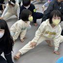 용인대박사백호태권도장 이미지