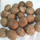 푸르미작업장 이미지