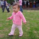 횡계밧데리 이미지