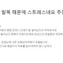 신영통마디척척의원 이미지