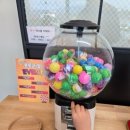 라비앙펜션 | 경주 감성 숙소 라비앙로즈 펜션 후기｜친절한 서비스·무료 조식·닌텐도·포토마그넷까지 (내돈내산ㅣ...