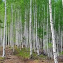 세탁세상 이미지