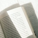망원익스프레스 티스토리