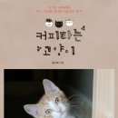 커피타는 고양이 이미지