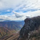 영남알프스_운문사환종주32 km(복호산 코스).. 낙엽이 하나둘 흩날리고.. 이미지