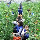 이은형농장 이미지