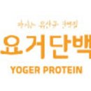 요거단백