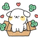 계룡산가마솥콩두부 이미지