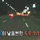 자유로카 이미지