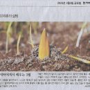 이화여자대학교 통역번역대학원 이미지