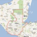달려라치킨 - 아산시 배방로 239-31 | 달려라치킨