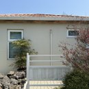 고내리본 이미지