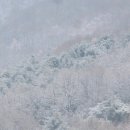 정원김치 이미지