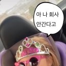 메시아컬쳐스튜디오부산 이미지