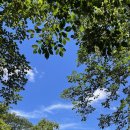 칠갑산계곡펜션 이미지