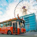 시티투어 이미지