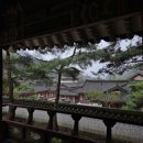 옛길공원 화장실 | 🌳문경 여행 필수 코스🌳｜문경 갈만한 곳, 걷기 좋은 옛길 · 부모님과 가기 좋은 곳🌱[문경새재도립공원]🌿