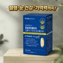 트리플코어 | 혈행·눈 건강·기억력까지! 뉴트라제니스 초임계 오메가3 트리플코어 후기