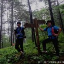 청태산- 다듬어 지지 않은 자연 그대로의 모습이 좋다. 이미지