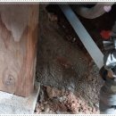 청두곶7길 21 | 방배동하수구막힘을 겪고 나서야 알게 된 하루의 무게