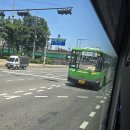 보성운수차고지 맞은편 이미지