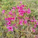 종합운동장(골프장) 이미지