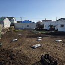 상모리-20 이미지