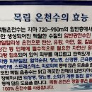 목림레포츠 이미지