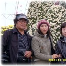 국화호수 이미지