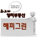 해피그린 이미지