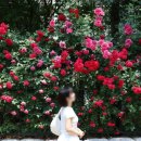 GS25 연남공원점 이미지