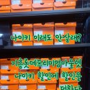 나이키 할인에 할인을 더한 득템 기흥롯데아울렛 정보