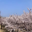 서울숲4 이미지