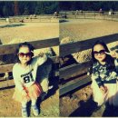 아담 목장 이미지