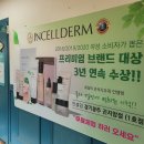 인셀덤경기 이미지