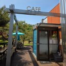 신안산대학로1R | 안산카페 신안산대학교카페 안산뷰좋은카페 연못가카페 카페라떼 캐모마일 후기