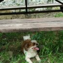 잠자리팬션 이미지