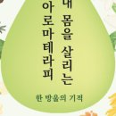 한국아로마테라피연구소