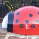 제암산 숲속교육관화장실 이미지