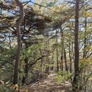 서석풍암리 터미널 이미지