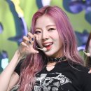 퍼플케이(purple k) 이미지