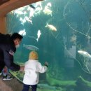 뿌빠노래타운 이미지